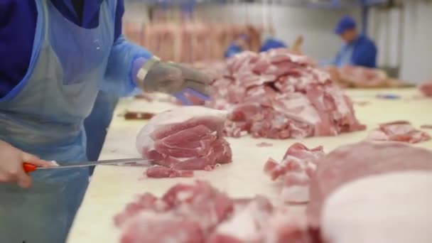 Slagers snijden van varkensvlees in een fabriek van vlees. — Stockvideo