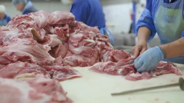 Переработка мяса на мясокомбинате. пищевая промышленность — стоковое видео