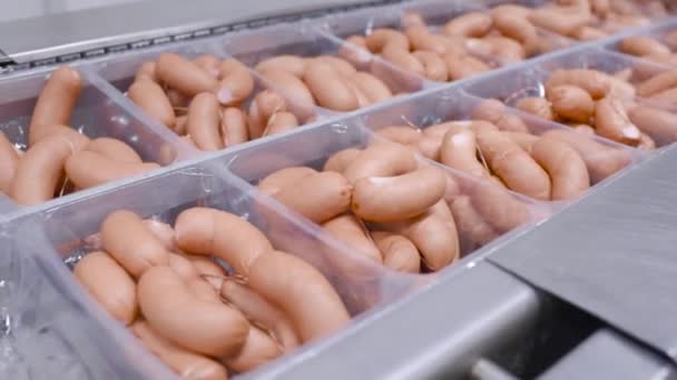 Sausages hanging in a smoking chamber close-up — Stock Video