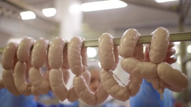 Nahrungsmittelproduktion von Wurst — Stockvideo