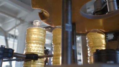 Ayçiçek yağı. Satır üretim ve şişeleme ayçiçeği tohumu gelen rafine petrol için. Konveyör gıda sanayi