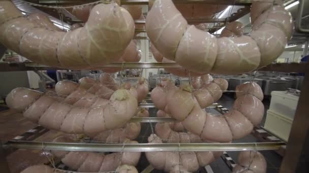 Von der Wurstfabrik ins Tiefkühlhaus. Fertigfleischerzeugnisse in einer großen Lebensmittelfabrik. — Stockvideo
