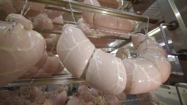 A fábrica de salsichas para o armazenamento do congelador. Produtos de carne acabados em uma grande fábrica de alimentos . — Vídeo de Stock
