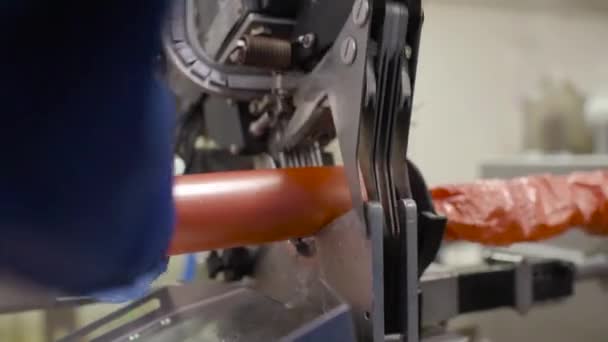 Der Produktionsprozess der industriellen Wurst in der Fleischfabrik. — Stockvideo