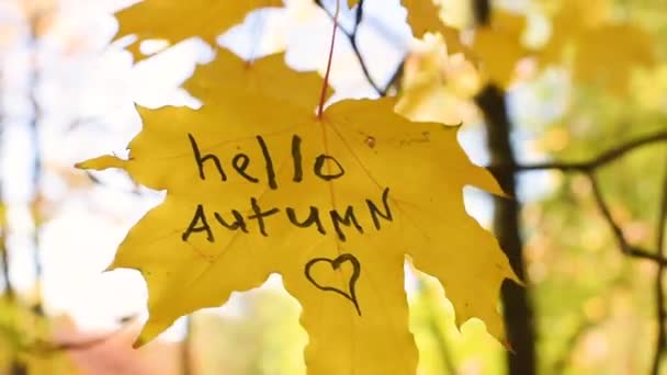 Επιγραφή Γεια σας φθινόπωρο σε ένα κίτρινο φύλλο σφενδάμου στο παρασκήνιο του πάρκου. Φθινοπωρινή ιδέα. — Αρχείο Βίντεο