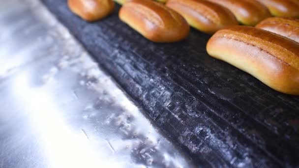 Čerstvé horké chlebové bochníky a pečivo vylézají z trouby — Stock video