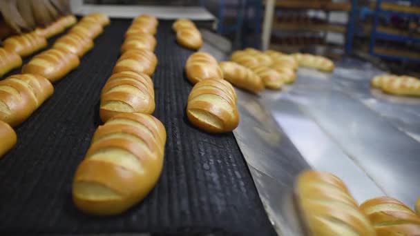 Ung hane Baker tar bort färska doftande varma limpor och bakverk från ugnen mot bakgrund av en produktionslinje eller en behållare med bröd. — Stockvideo