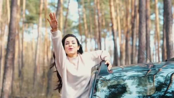 Mujer joven sentada en coche durante la pausa de viaje. Increíble hermosa mujer está fuera de la ventana lateral del coche animando y disfrutando de montar a caballo. Muchacha saludando con las manos y gritando. Feliz mujer positiva . — Vídeos de Stock