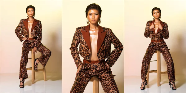 Collage Group Pack full length of Fashion Young tanned skin slim Asian Woman short hair wear leopard tiger skin pattern jacket pants, sit on stool chair sexy poses high heels. Studio yellow Background