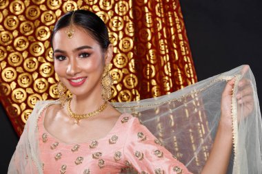 Hint güzeli yüzü mükemmel makyaj gelini, kırmızı pembeli güzel bir kadının portresi geleneksel Hindistan gelinliği, ağır mücevherler ve makyajlı.