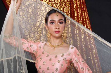 Hint güzeli yüzü mükemmel makyaj gelini, kırmızı pembeli güzel bir kadının portresi geleneksel Hindistan gelinliği, ağır mücevherler ve makyajlı.