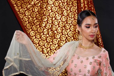 Hint güzeli yüzü mükemmel makyaj gelini, kırmızı pembeli güzel bir kadının portresi geleneksel Hindistan gelinliği, ağır mücevherler ve makyajlı.