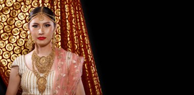 Hint güzeli yüzü mükemmel makyaj gelini, kırmızı pembeli güzel bir kadının portresi geleneksel Hindistan gelinliği, ağır mücevherler ve makyajlı.