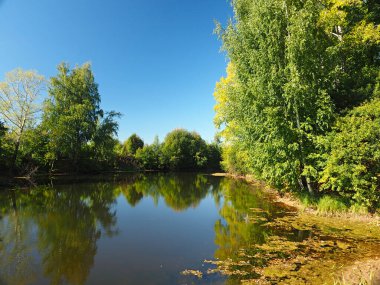 Autumn Park 'ta. Göl. Ağaçlar, Sonbahar. Ural. - Rusya. Perma Bölgesi, Elovo