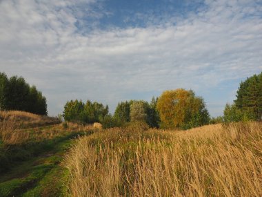 Saha yolu. Ağaçlar, Sonbahar. Ural. - Rusya. Perma Bölgesi, Elovo