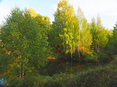 Autumn Park 'ta. Göl. Ağaçlar, Sonbahar. Ural. - Rusya. Perma Bölgesi, Elovo
