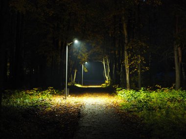 Gece Sonbahar Parkı. Fenerler. Düş! Ural. - Rusya. Perma Bölgesi, Elovo