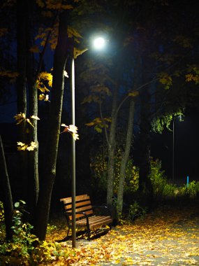 Gece Sonbahar Parkı. Fenerler. Yedek kulübesi. Düş! Ural. - Rusya. Perma Bölgesi, Elovo