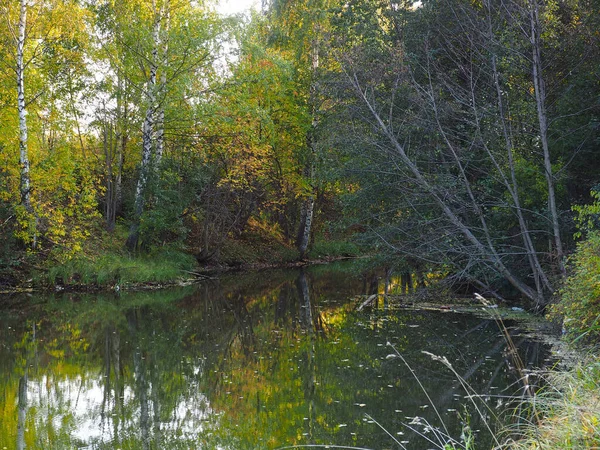 Höstparken Sjön Träd Höst Ural Ryssland Permanent Territorium Elovo — Stockfoto