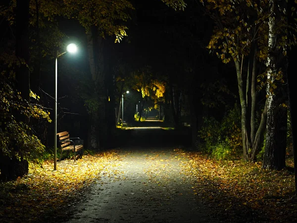 Parque Nocturno Otoño Linternas Banco Caída Ural Rusia Territorio Perm — Foto de Stock
