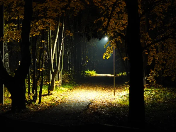Parque Nocturno Otoño Linternas Caída Ural Rusia Territorio Perm Elovo — Foto de Stock