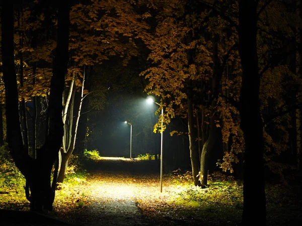 Parque Nocturno Otoño Linternas Caída Ural Rusia Territorio Perm Elovo — Foto de Stock