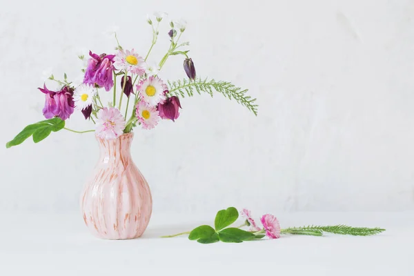 Flores Verão Vaso Rosa Fundo Branco — Fotografia de Stock