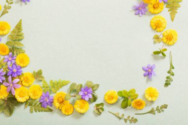 bahar sarısı ve menekşe çiçekleri kağıt arkaplanda