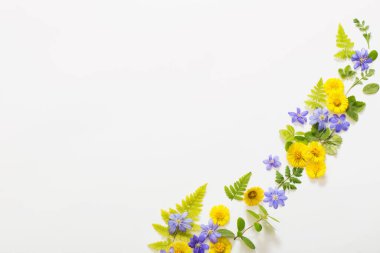 bahar sarısı ve menekşe çiçekleri kağıt arkaplanda