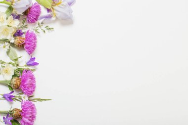 beyaz arkaplanda mor yaz çiçekleri