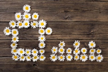 Eski ahşap bir zeminde papatyalar