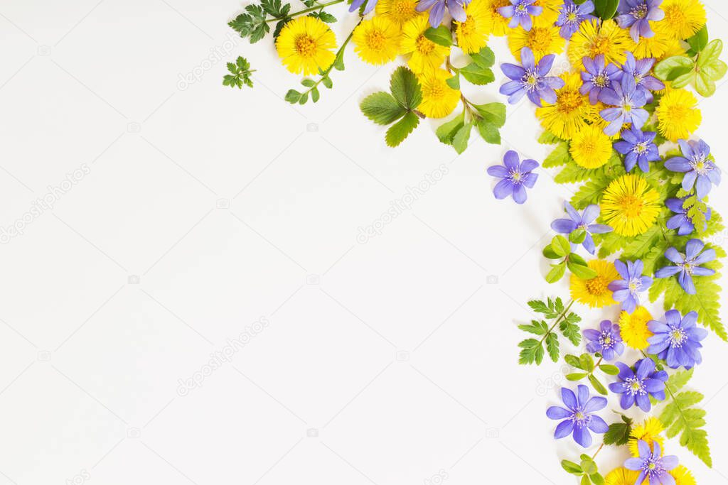 spring yellow and violet  flowers on paper background