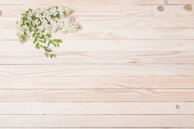 Tahta arka planda beyaz yaz çiçekleri