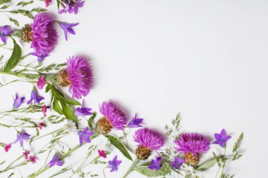 beyaz arkaplanda mor yaz çiçekleri