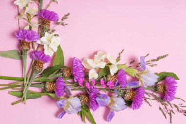 yaz çiçekleri pembe kağıt arka planda