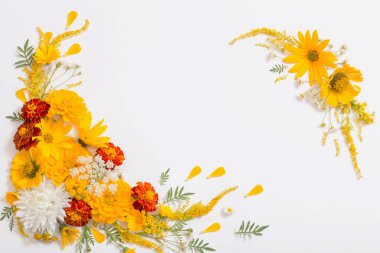 Beyaz arkaplanda sarı ve turuncu çiçekler