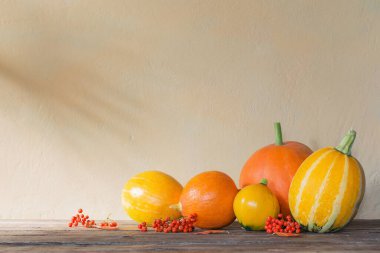 arkaplan duvarında turuncu ve sarı balkabakları