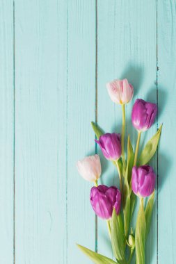 mavi nane ağacından arkaplanda bahar çiçekleri