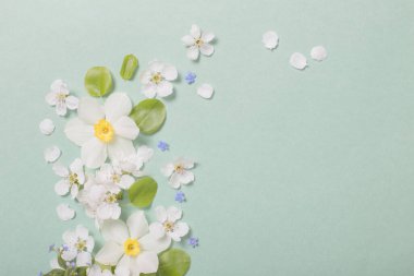 Yeşil kağıtta beyaz narsis ve kiraz çiçekleri