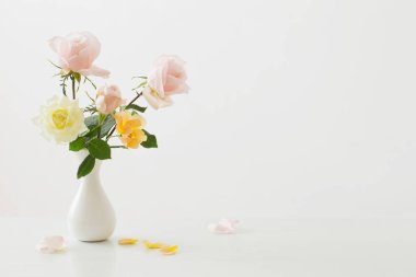 Beyaz arkaplanda beyaz vazodaki güller