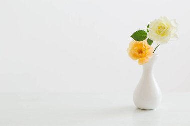 Beyaz arkaplanda beyaz vazodaki güller