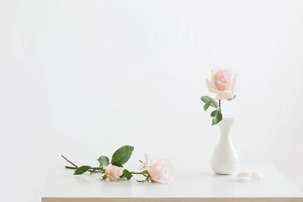 Pink Roses White Vase White Background — Stock Photo, Image