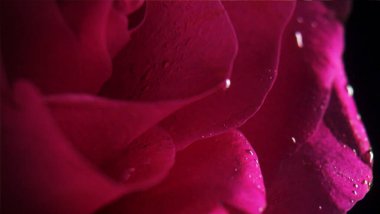 Web siteniz veya sosyal medya ihtiyaçlarınız için resim