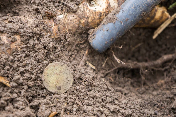 땅에 있는 금속 탐지기와 고대 역사적 인 동전 — 스톡 사진