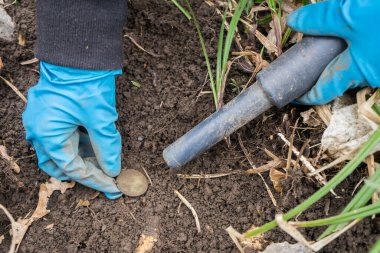 Kazıcı arkeolog elinde ve antik madeni paralarda pinekleyici metal dedektörü. 
