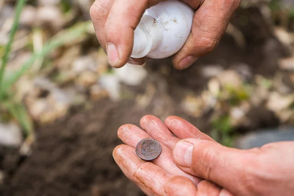고고학자가고 대의가치 있는 동전을 발견하여 씻어 주다. — 스톡 사진