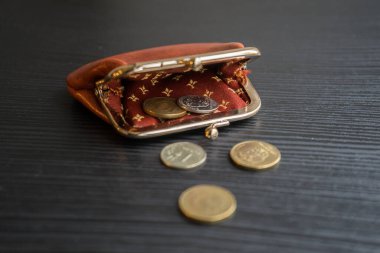 Cüzdandaki son para. Bozuk paralar tablonun üzerine saçıldı.. 