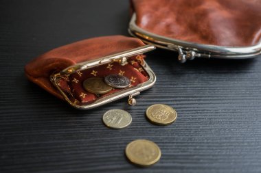 Cüzdandaki son para. Bozuk paralar tablonun üzerine saçıldı.. 