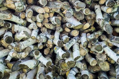 Duvar kâğıdı için ahşap kütük arka planı. Ahşap doku.