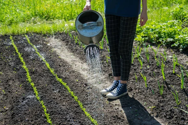 Petani wanita di kebun di desanya. Eco tumbuh. Berkebun di halaman belakang — Stok Foto